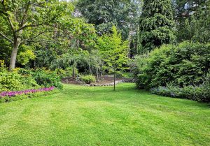 Optimiser l'expérience du jardin à Walbach