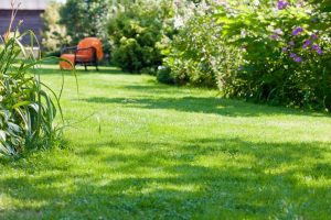 travaux jardin et paysage Walbach